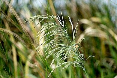 索尼或与开发商商谈提供试玩服务 34美元以上游戏必须提供