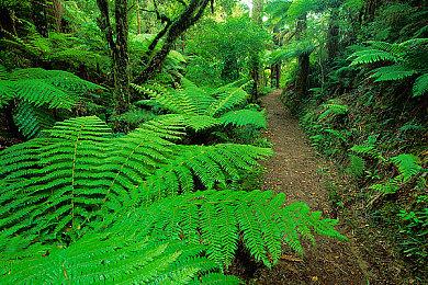 《异度神剑3》官方发布BGM 《A Step Away》试听