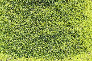 学校闹鬼 《双点校园》公布新DLC“学校鬼魂” 3月16日发售