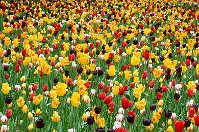 解压射击游戏《薯条推币机》登陆Steam平台 2024年1月发售